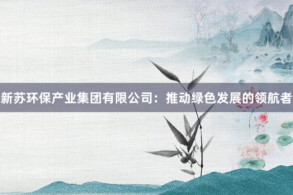 新苏环保产业集团有限公司：推动绿色发展的领航者